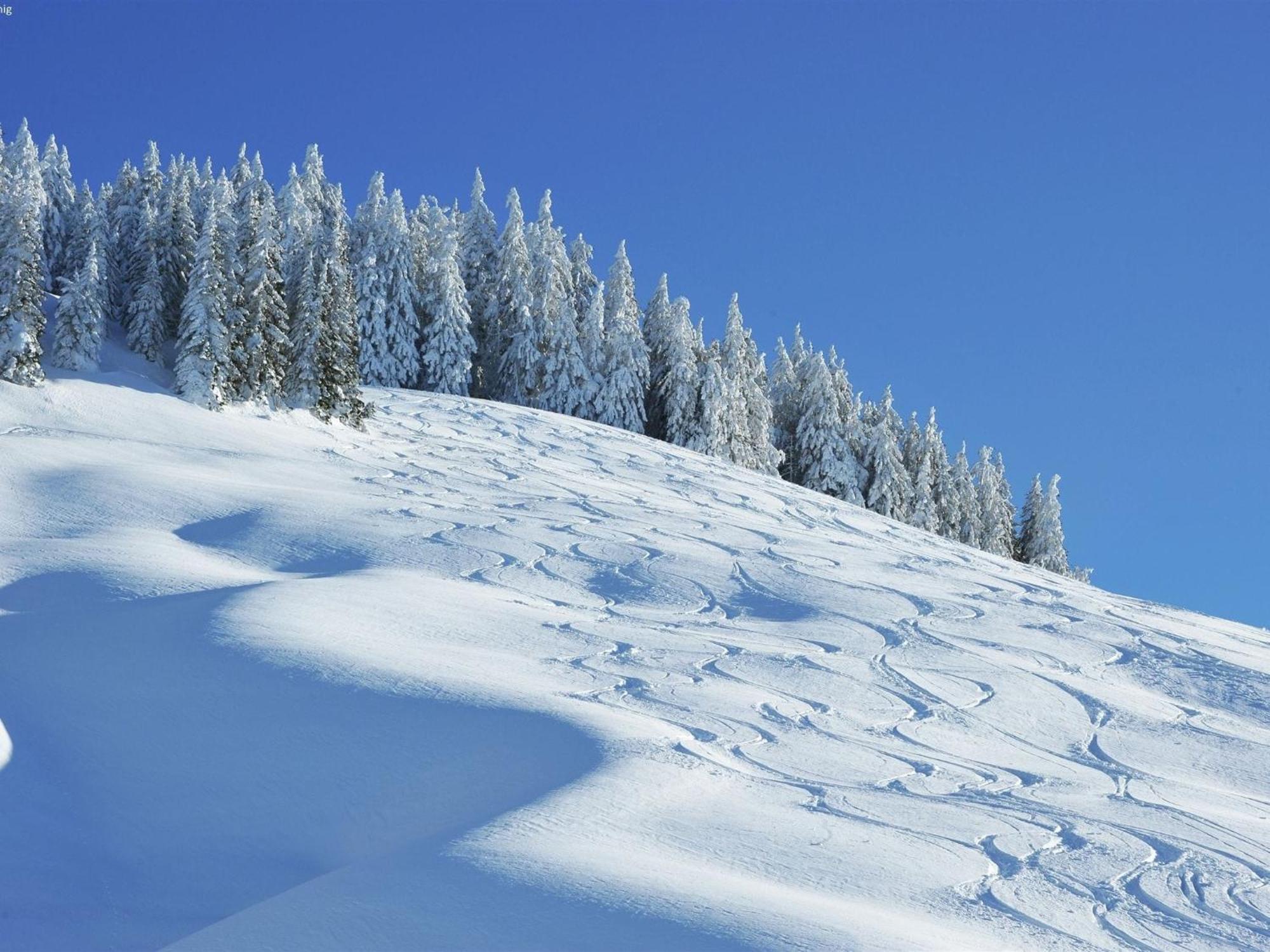 Large Chalet Apartment In Saalbach Hinterglemm エクステリア 写真