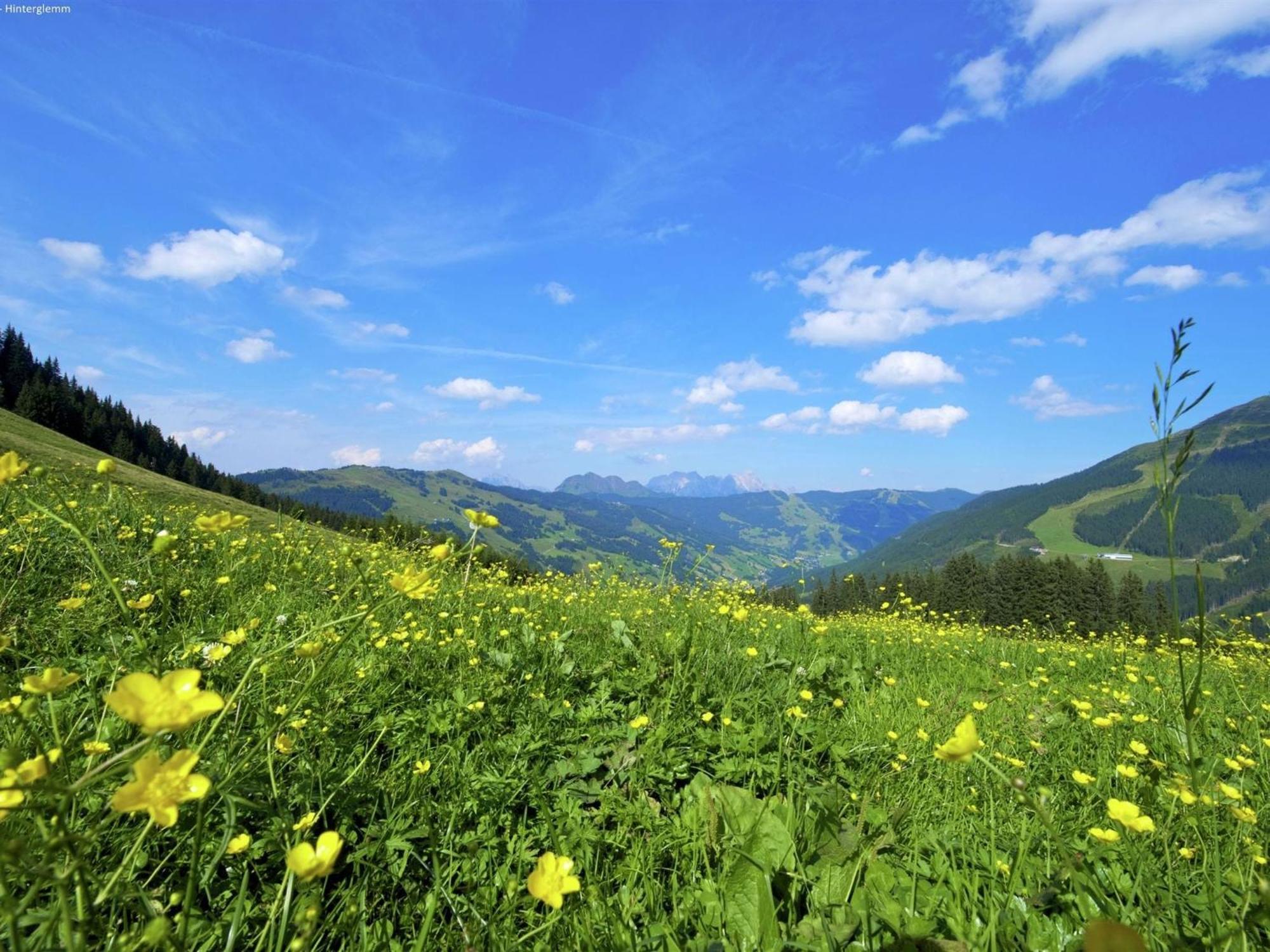 Large Chalet Apartment In Saalbach Hinterglemm エクステリア 写真